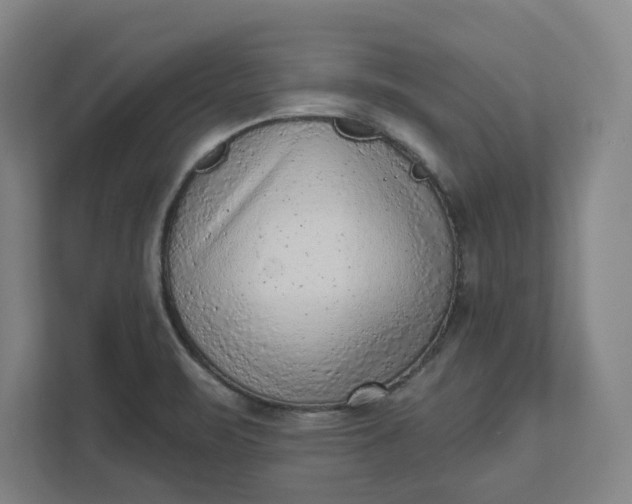 X0000111941471200908101152