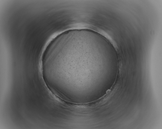 X0000111941472200908101152