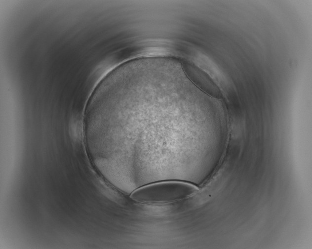 X0000111941473200908101152