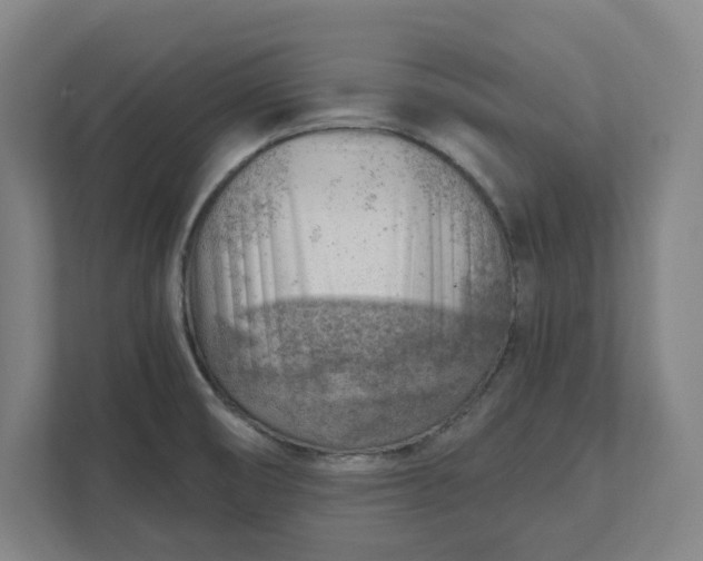 X0000111941474200908101152