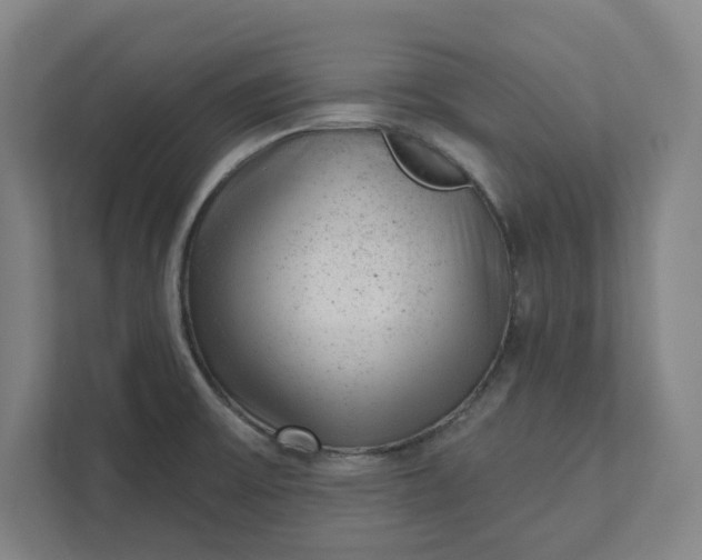 X0000111941475200908101152