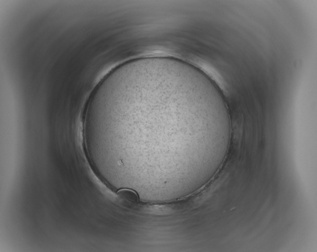 X0000111941476200908101152