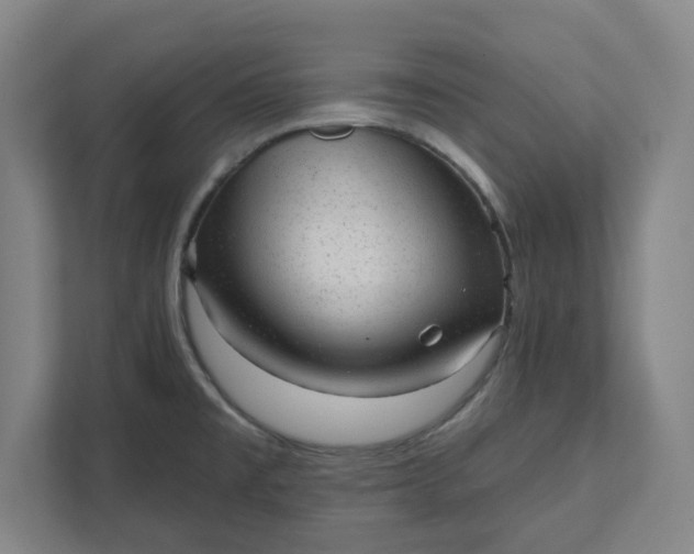 X0000111941477200908101152