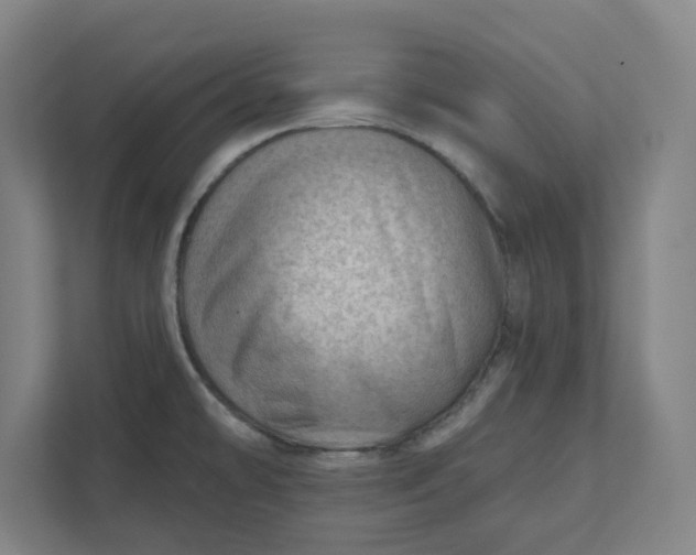 X0000111941478200908101152