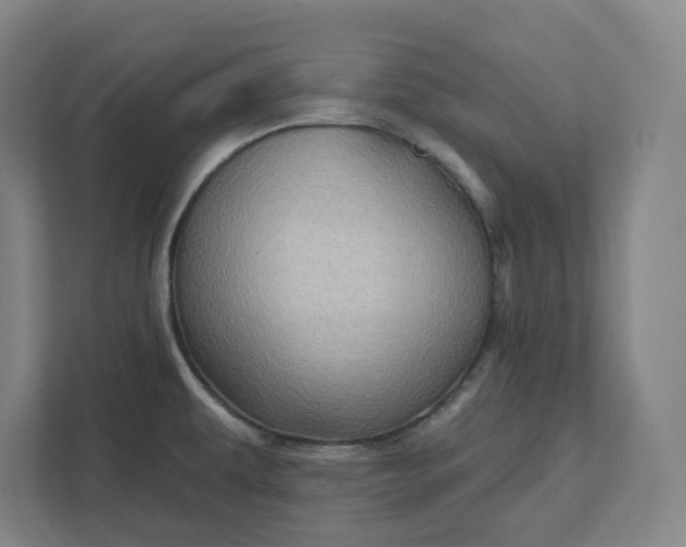 X0000111941479200908101152