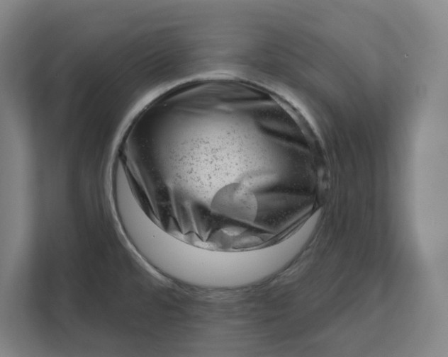 X0000111941480200908101152