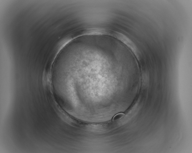 X0000111941481200908101152