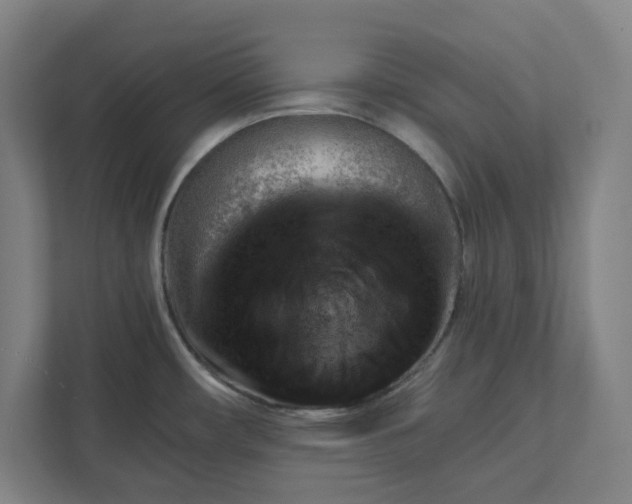 X0000111941482200908101152