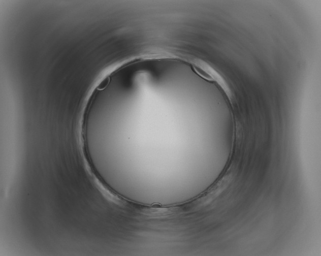 X0000111941485200908101152