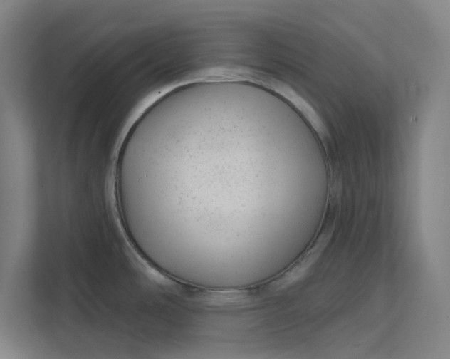 X0000111941486200908101152