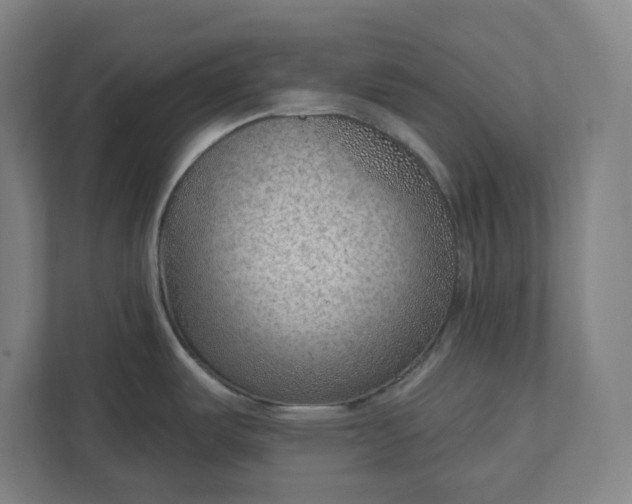 X0000111941487200908101152