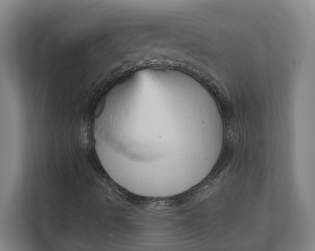 X0000111941490200908101151