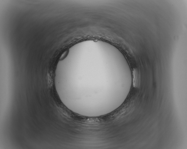 X0000111941491200908101151