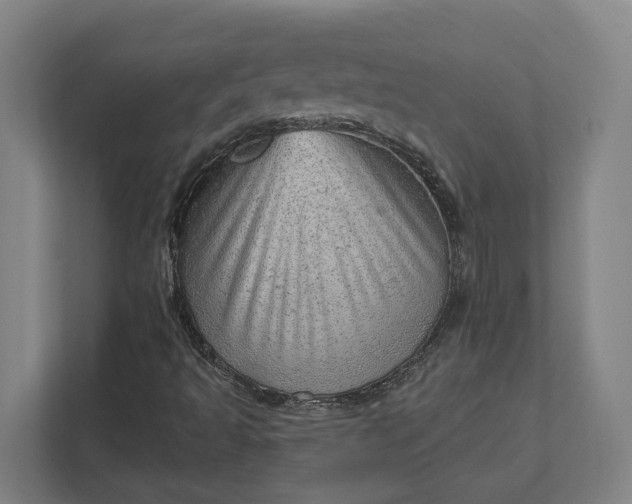 X0000111941493200908101151