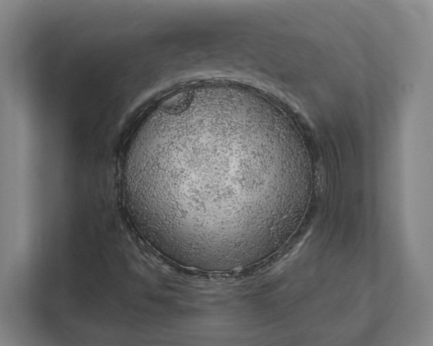 X0000111941494200908101151