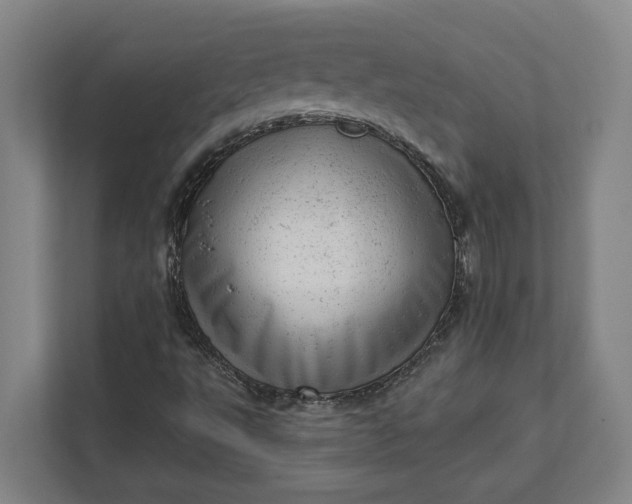 X0000111941495200908101151