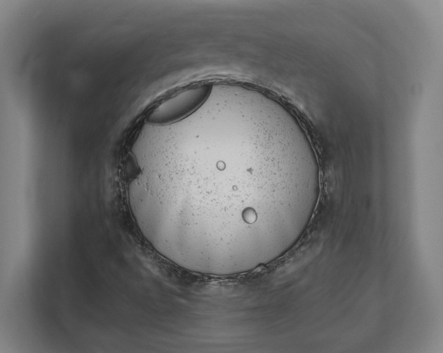 X0000111941496200908101151