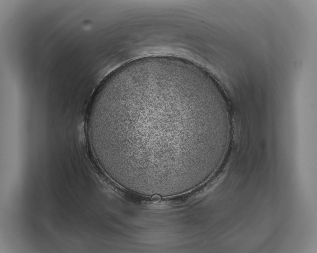 X0000111941497200908101151