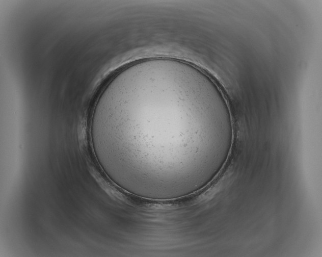 X0000111941499200908101151