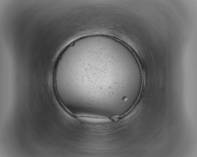 X0000111941500200908101151