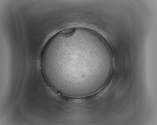 X0000111941501200908101151