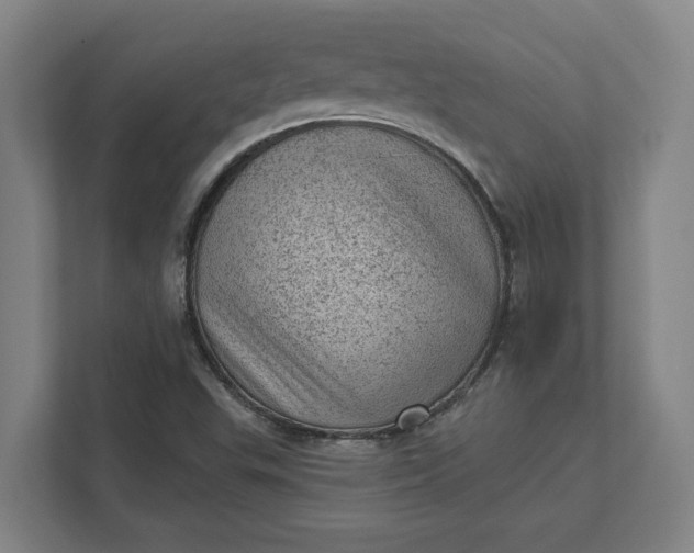 X0000111941503200908101151