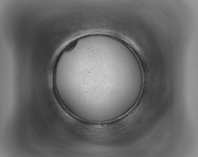 X0000111941504200908101151