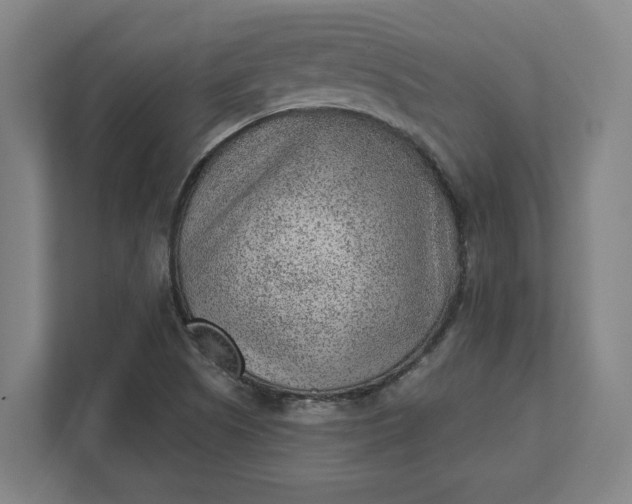 X0000111941505200908101151