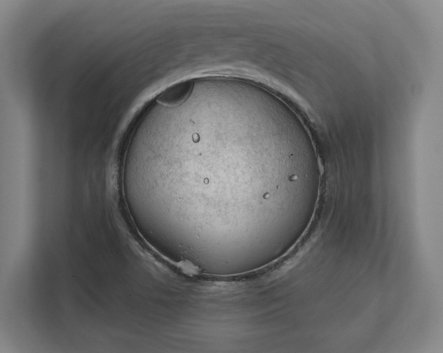 X0000111941506200908101151