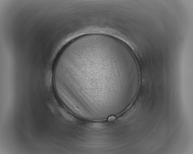 X0000111941507200908101151