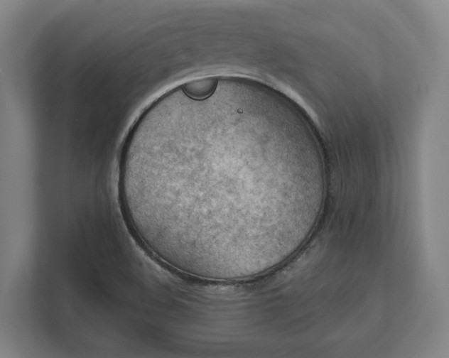 X0000111941508200908101151