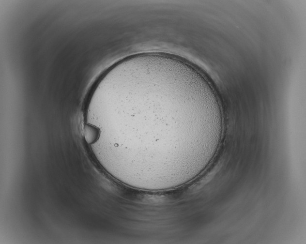 X0000111941509200908101151