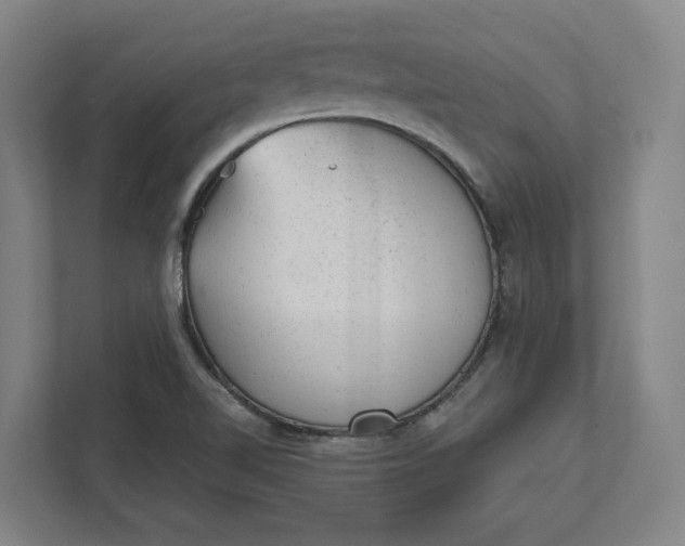 X0000111941510200908101151