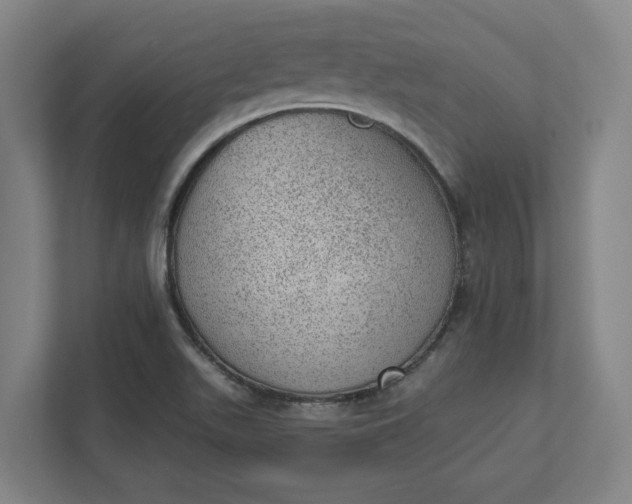 X0000111941511200908101151