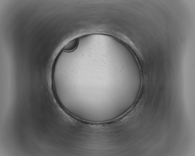 X0000111941512200908101151