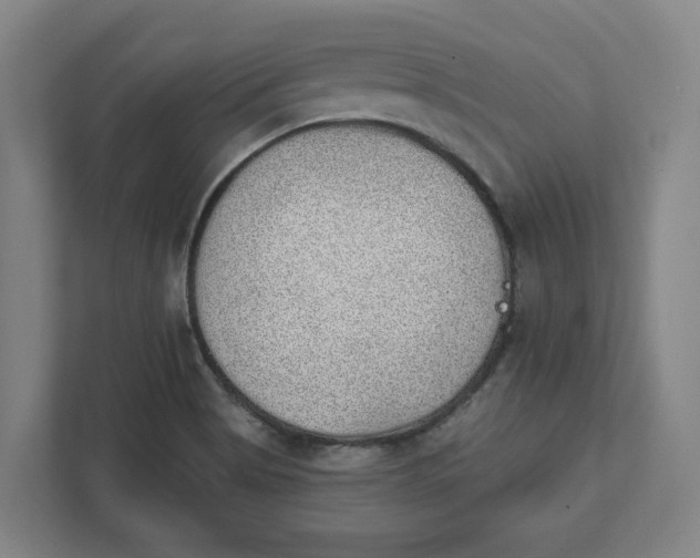 X0000111941513200908101151