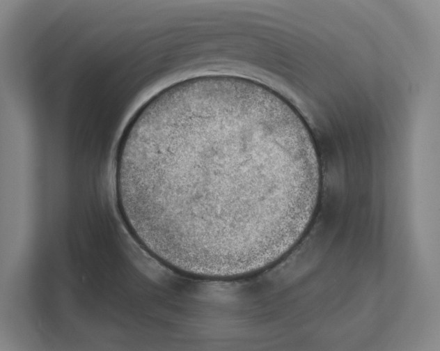 X0000111941514200908101151