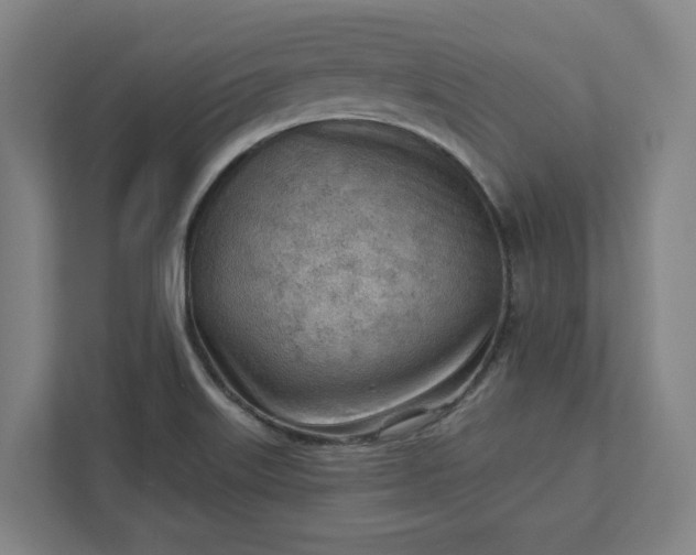 X0000111941515200908101151