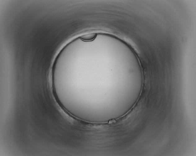 X0000111941516200908101151