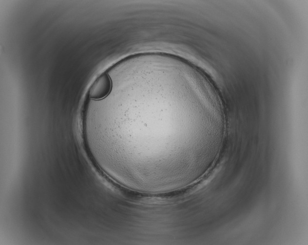 X0000111941517200908101151