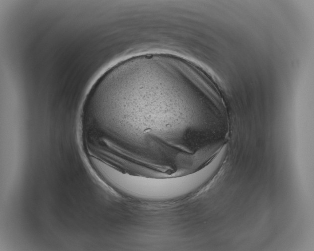 X0000111941518200908101151