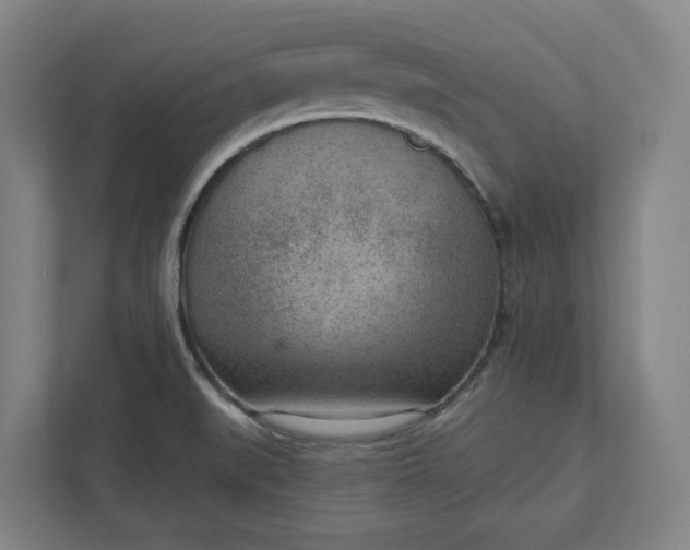 X0000111941519200908101151