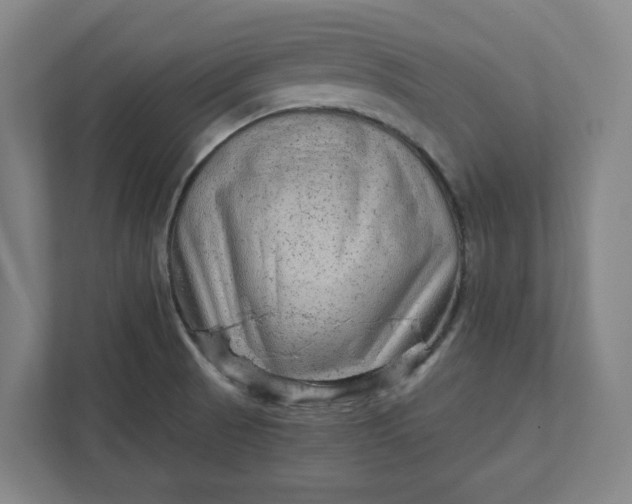 X0000111941521200908101151