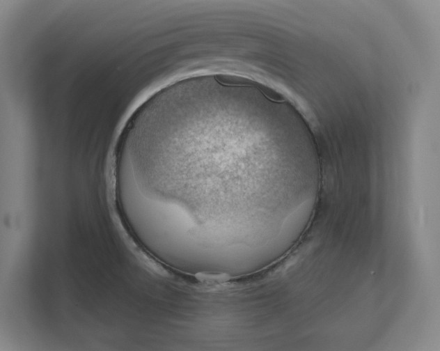 X0000111941522200908101151