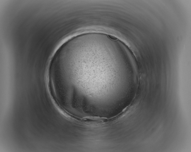 X0000111941523200908101151