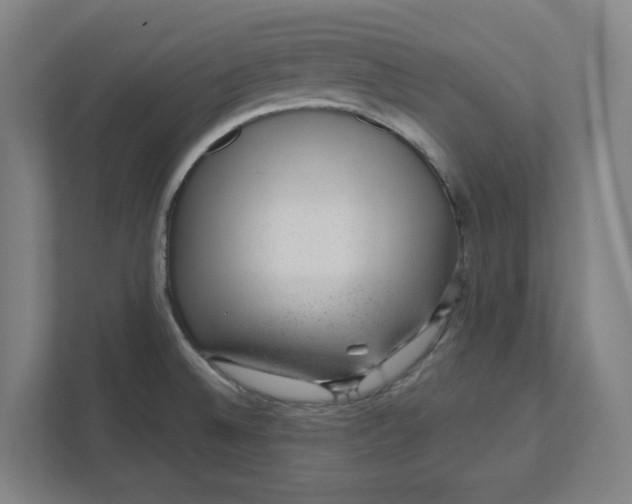 X0000111941524200908101151