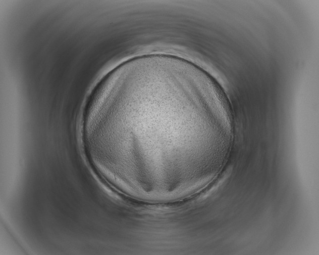 X0000111941525200908101151