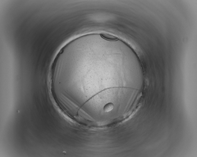 X0000111941526200908101151