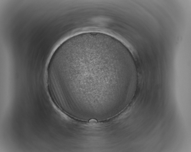 X0000111941527200908101151