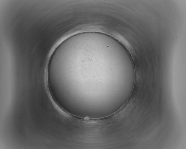 X0000111941528200908101151